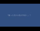霽月、街にフー・アム・アイ？ feat.重音テト