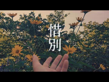 惜別/知声