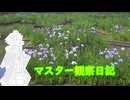心筋梗塞マスター観察日記 260525_260607