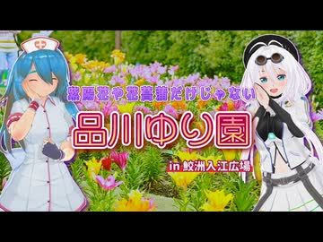 【ソフトウェアトーク旅行】紫陽花や花菖蒲だけじゃない 品川ゆり園【雨晴はう/もち子】