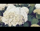 23フラワーガーデン/ yu3232 ft.ナースロボ_タイプT