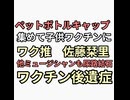 ペットボトルキャップ集めて子供ワクチンにする運動して佐藤栞里ワクチン後遺症で尿路結石ミュージシャンもワクチン打って尿管結石