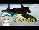 なぜSR-71には赤い線が引いてあるの？