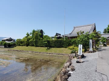 【一鉄】美濃国曽根城 令和8年(2026) 初夏