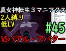 【真女神転生３マニアクス】低レベル＆２人パーティ縛り #45 VSバアル・アバター