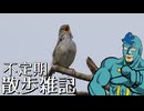 不定期散歩雑記_108 - VS ウグイス