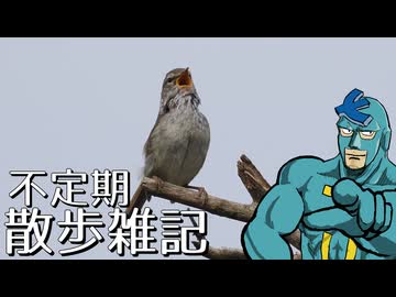 不定期散歩雑記_108 - VS ウグイス