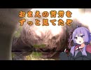 チェルノブイリ在住のゆかり：part59