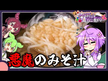 悪魔のみそ汁【料理/VOICEROID】