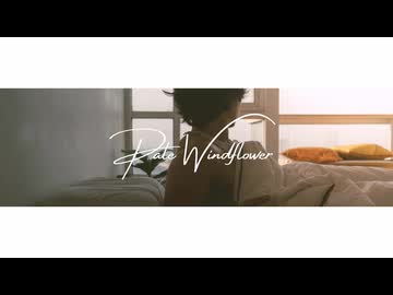 Pale Windflower / ナースロボ＿タイプT（Lyrics）