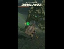 【ティアキン】ポプラー高地北のスタルヒノックス　ゼルダの伝説ティアーズ オブ ザ キングダムintendo Switch 2 Edition