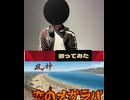 メガラバ ショート