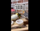 小松菜の食べ方で分かるオカメインコの格差