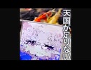 天国が足りない / 初音ミク - 露徒チーハ