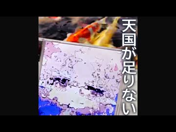 天国が足りない / 初音ミク - 露徒チーハ