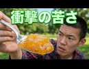 日常演舞 業務スーパーで衝撃の苦さがある〇〇食べる