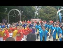 総踊り　正調よさこい鳴子踊り　SMILEよさこいフェスタ2026