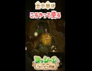 金の傘を使ってのフラワーの取り方！…あってるよね？【ヨッシーとフカシギの図鑑】