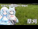 2026年6月9日　日記1751　朝から雨が降っていたけどどうしよう？