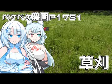 2026年6月9日　日記1751　朝から雨が降っていたけどどうしよう？