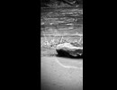 『弱い』サビ