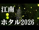 【2026】江南ホタル