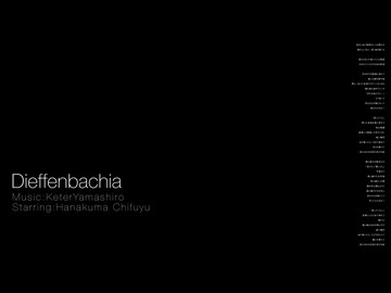 Dieffenbachia【花隈】