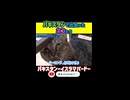 なんで玄関前にネコいるの？！