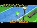 トモダチコレクション　街灯が一番の友達　島の住人観察日記（ポケモン編）　＃７１９　【トモコレわくわく生活】