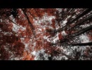 Lightroom(1)