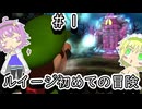 【ルイージマンジョン】ゴーストバスター地底のおねーちゃん