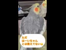 おしゃべりを見守る会□