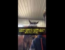 オハイオ州の馬飼育者が激怒！「ゲイツ資金の遺伝子操作ダニが全米に爆増中」