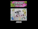 WANDS AWAKE 歌ってみた カラオケLive 本人ズ shorts 3尺