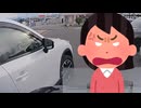 ホモと見るわ訳が分からなすぎるドラレコ動画