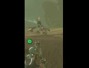 【ブレワイ】エウンポ高地のライネル　ゼルダの伝説ブレスオブザワイルドNintendo Switch 2 Edition