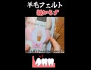 羊毛フェルトで親知らずを作る！！