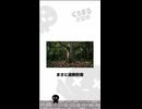 近寄るな！時速240kmで弾け飛ぶ「生きた爆弾」 #雑学 #くろまる大冒険