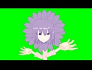 ひまわり(HSK姉貴)GB.sunflower