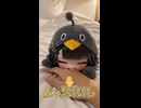 ホモと見る必要はない令和最新版ゆっくり