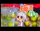 小春六花の梅酒作り『氷砂糖＋ブランデー＆米焼酎』