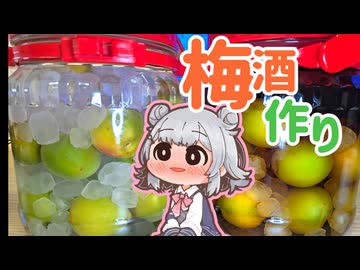小春六花の梅酒作り『氷砂糖＋ブランデー＆米焼酎』