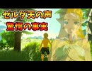 初めのゼルダの天の声はどういう条件で発動する？【ブレワイ BotW Switch2版】 検証  【ブレワイ BotW Switch2版】裏技 バグ 検証 ゆっくり実況 glitch
