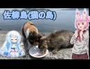 「ソフトウェアトーク旅行」ゆるく楽しく気軽に旅行！　佐柳島　「CeVIOAI/VOICEVOX」