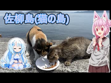 「ソフトウェアトーク旅行」ゆるく楽しく気軽に旅行！　佐柳島　「CeVIOAI/VOICEVOX」