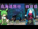 【北海道#11】北海道旅行４日目の夜（withミク&ずんだもん）