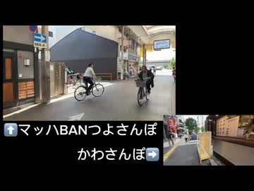 マッハつよさんぽvsかわさんぽ