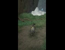 【アークナイツ：エンドフィールド】バナナスリップ