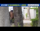 【宝塚記念】出走予定馬の最終追い切りの様子