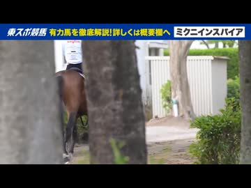 【宝塚記念】出走予定馬のフォトパドック